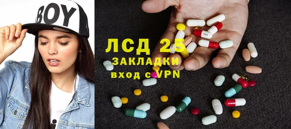 шишки Баксан