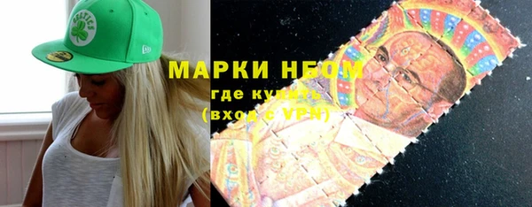 шишки Баксан